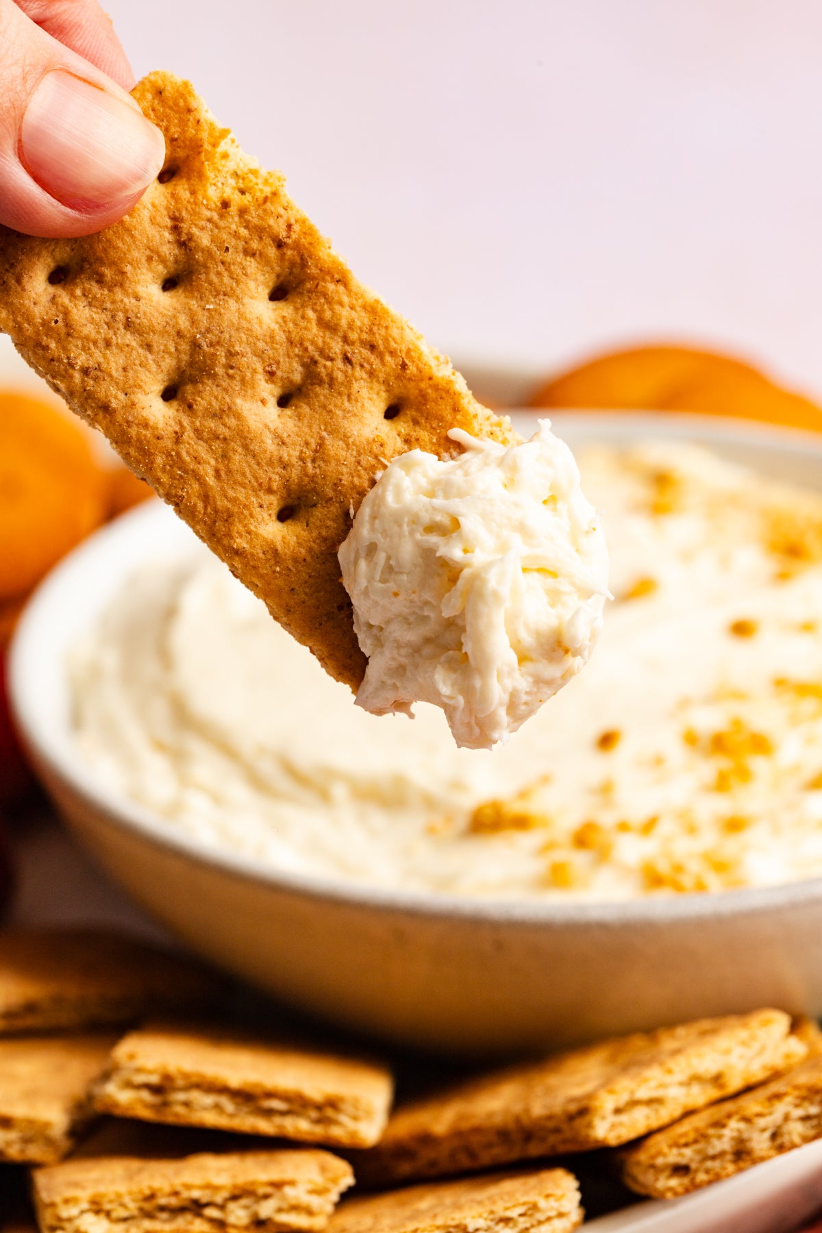 Cheesecake Dip | Mini-Exclusive