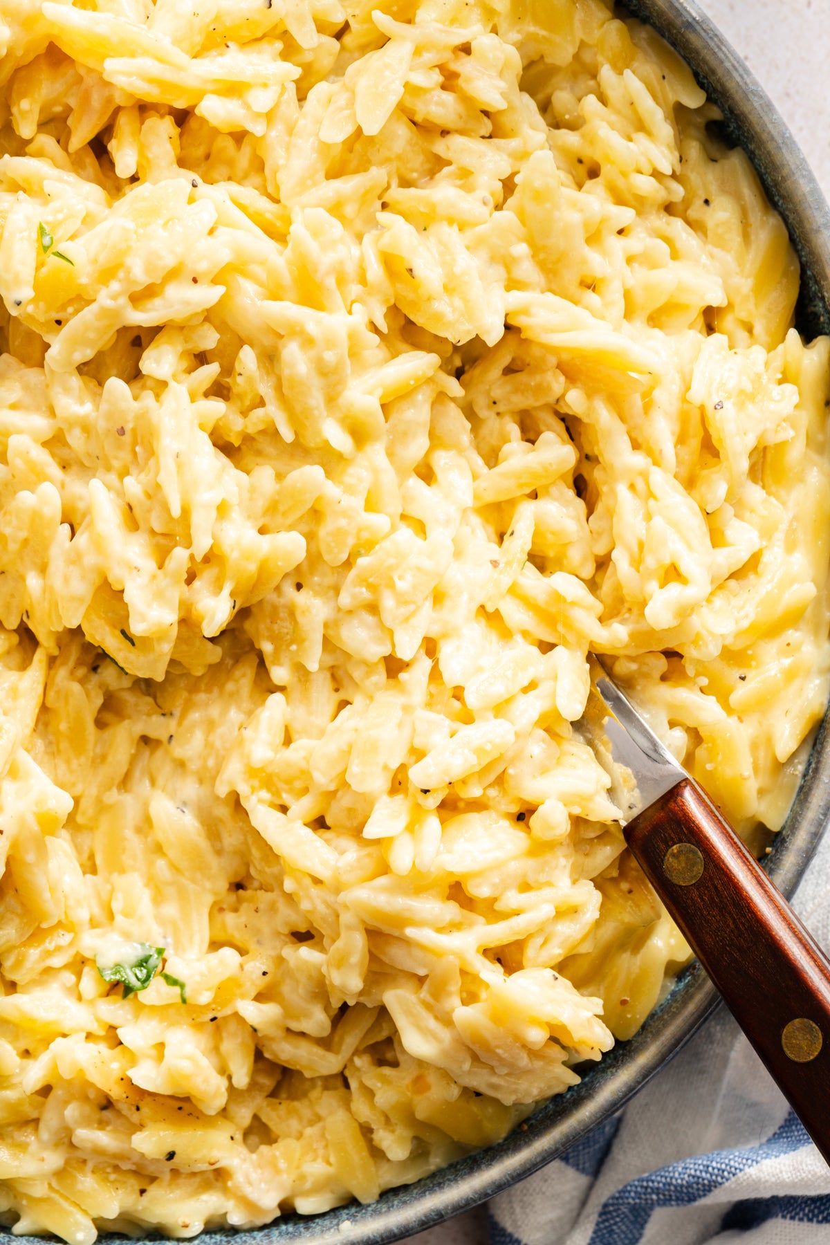 Garlic Parmesan Orzo | Exclusive