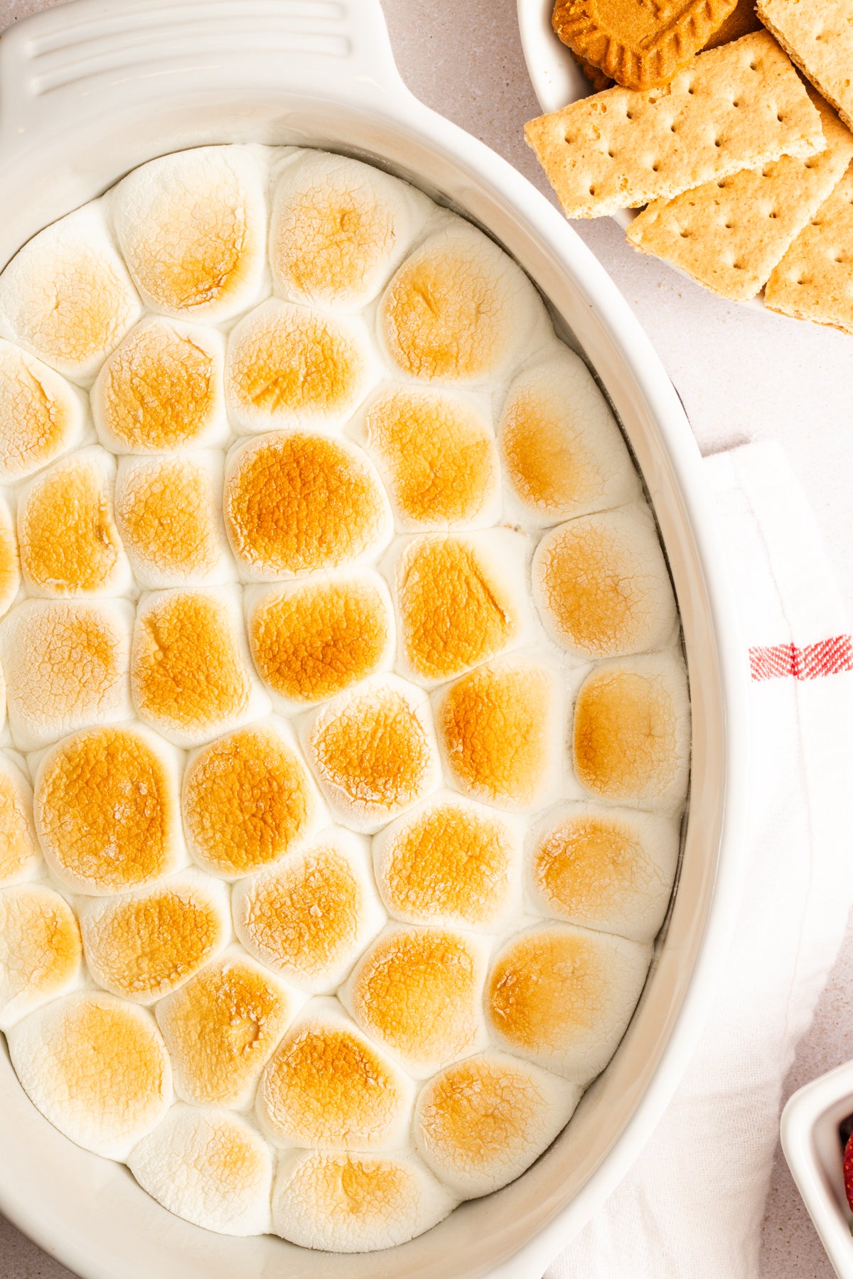 S'mores Dip | Mini-Exclusive