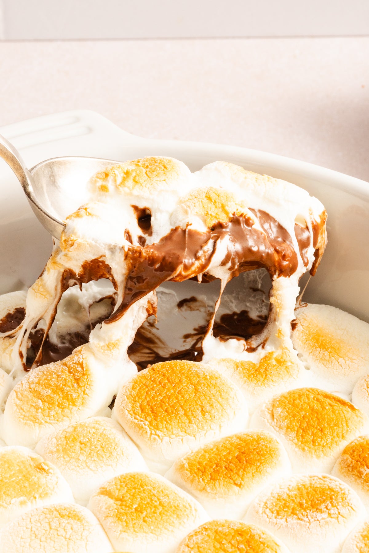 S'mores Dip | Mini-Exclusive