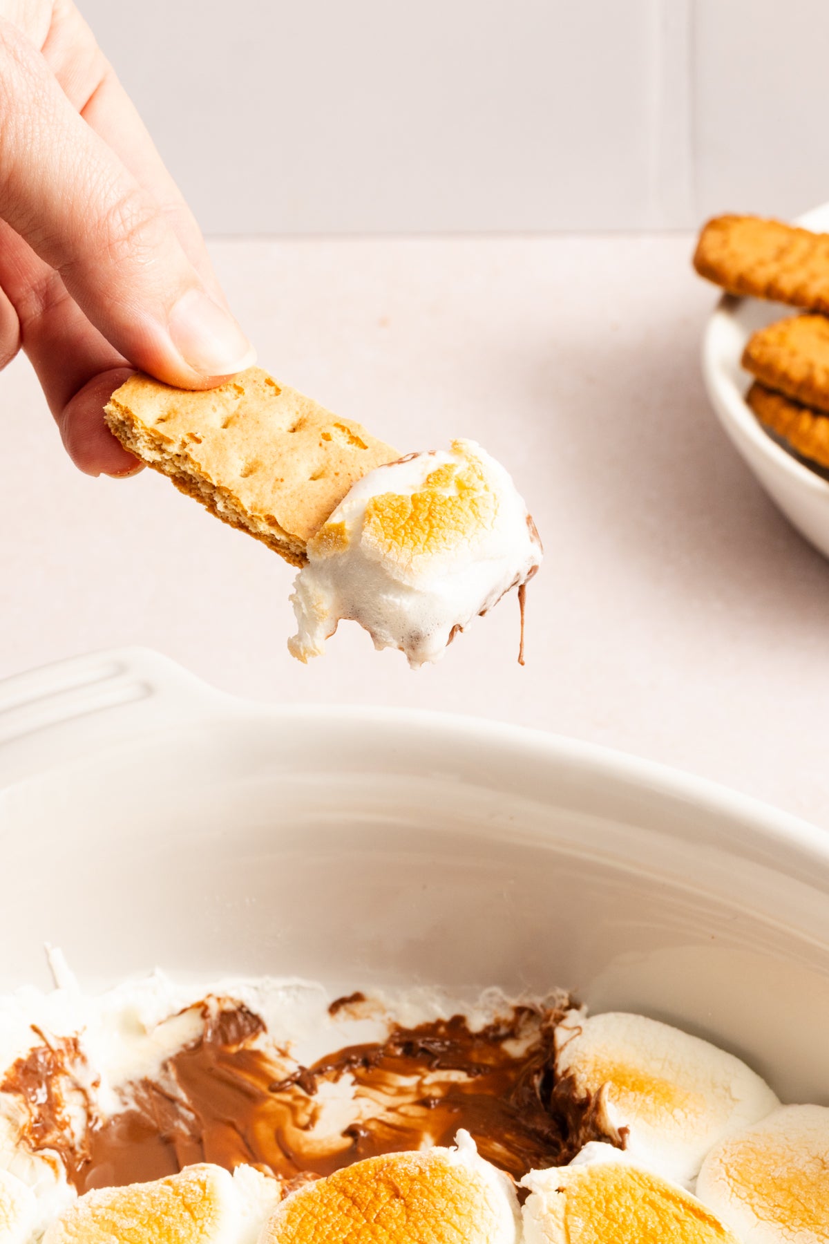 S'mores Dip | Mini-Exclusive