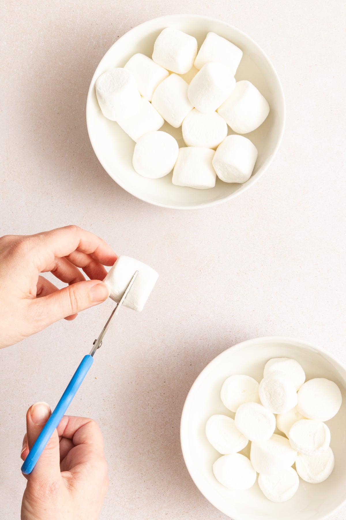 S'mores Dip | Mini-Exclusive