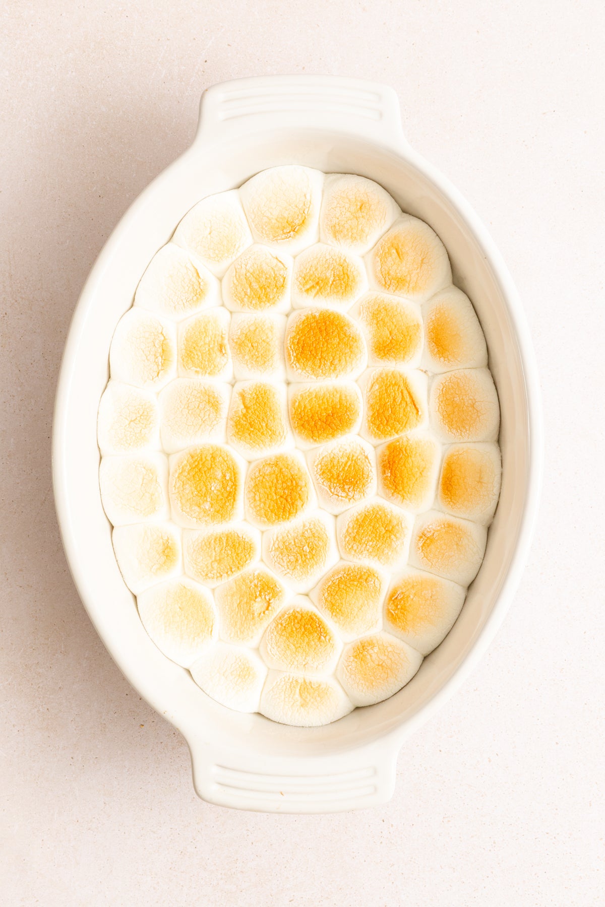 S'mores Dip | Mini-Exclusive