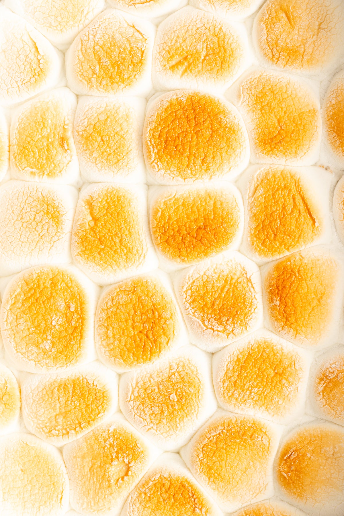 S'mores Dip | Mini-Exclusive
